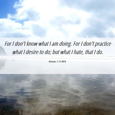 Picture 06 - Romans 7:15 WEB - For I don't know what I am doing. For I don't - Bible Verse Picture