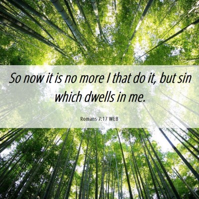 Picture 06 - Romans 7:17 WEB - So now it is no more I that do it, but sin which - Bible Verse Picture