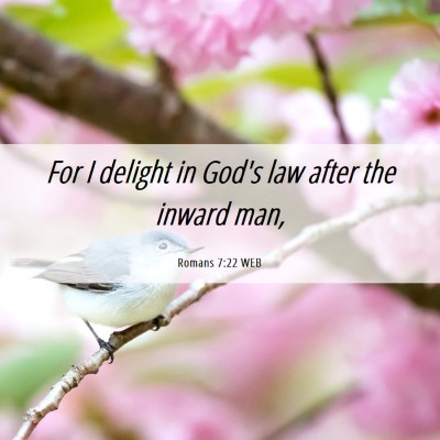 Picture 06 - Romans 7:22 WEB - For I delight in God's law after the inward - Bible Verse Picture