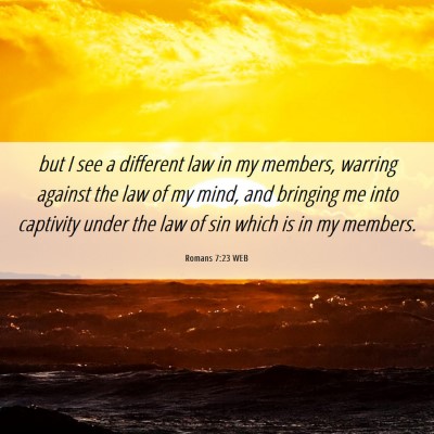 Picture 06 - Romans 7:23 WEB - but I see a different law in my members, warring - Bible Verse Picture