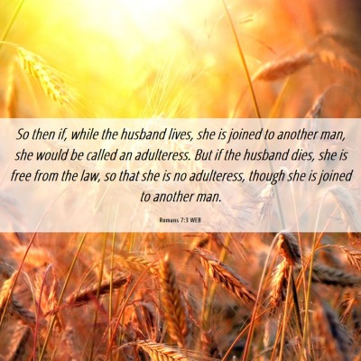 Picture 06 - Romans 7:3 WEB - So then if, while the husband lives, she is - Bible Verse Picture