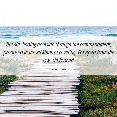 Picture 06 - Romans 7:8 WEB - But sin, finding occasion through the - Bible Verse Picture