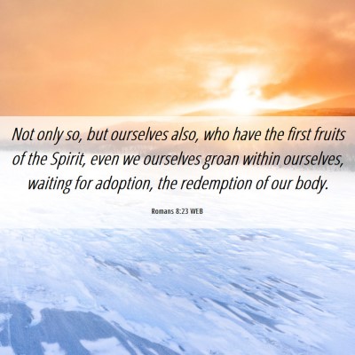 Picture 06 - Romans 8:23 WEB - Not only so, but ourselves also, who have the - Bible Verse Picture