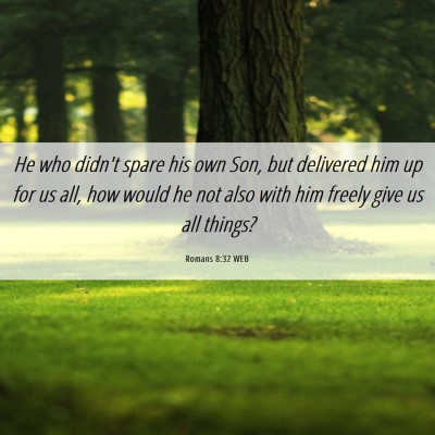 Picture 06 - Romans 8:32 WEB - He who didn't spare his own Son, but delivered - Bible Verse Picture
