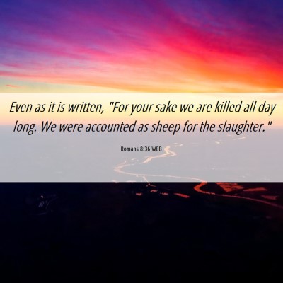 Picture 06 - Romans 8:36 WEB - Even as it is written, 