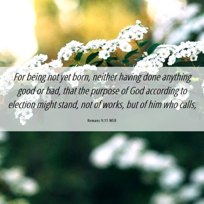 Picture 06 - Romans 9:11 WEB - For being not yet born, neither having done - Bible Verse Picture