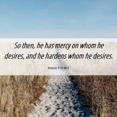 Picture 06 - Romans 9:18 WEB - So then, he has mercy on whom he desires, and he - Bible Verse Picture