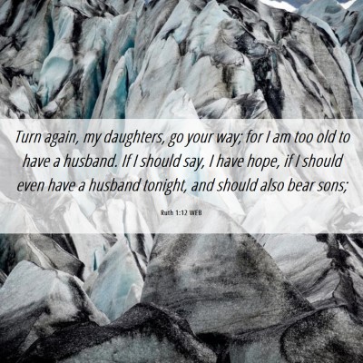 Picture 06 - Ruth 1:12 WEB - Turn again, my daughters, go your way; for I am - Bible Verse Picture