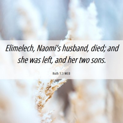 Picture 06 - Ruth 1:3 WEB - Elimelech, Naomi's husband, died; and she was - Bible Verse Picture