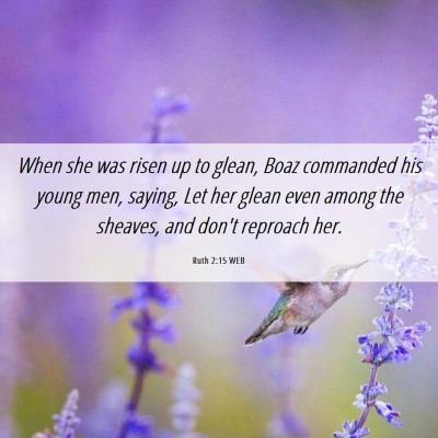 Picture 06 - Ruth 2:15 WEB - When she was risen up to glean, Boaz commanded - Bible Verse Picture