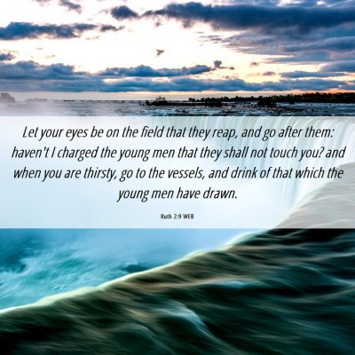 Picture 06 - Ruth 2:9 WEB - Let your eyes be on the field that they reap, and - Bible Verse Picture