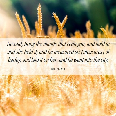 Picture 06 - Ruth 3:15 WEB - He said, Bring the mantle that is on you, and - Bible Verse Picture