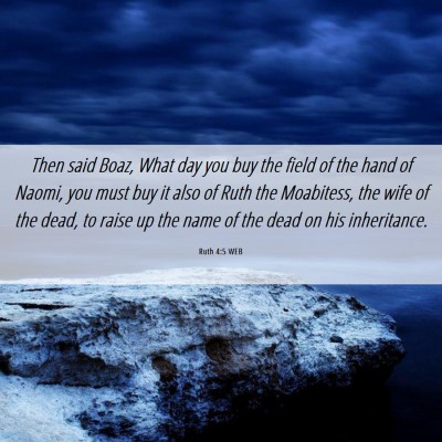 Picture 06 - Ruth 4:5 WEB - Then said Boaz, What day you buy the field of the - Bible Verse Picture