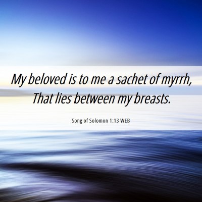 Picture 06 - Song of Solomon 1:13 WEB - My beloved is to me a sachet of myrrh, That lies - Bible Verse Picture