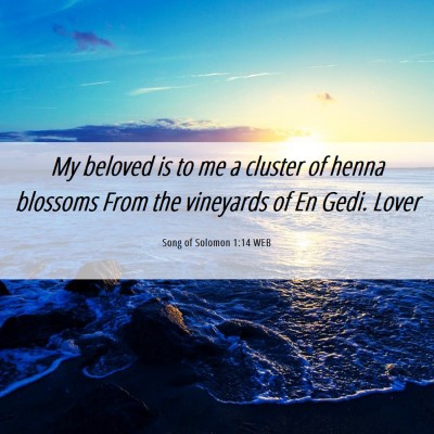 Picture 06 - Song of Solomon 1:14 WEB - My beloved is to me a cluster of henna blossoms - Bible Verse Picture