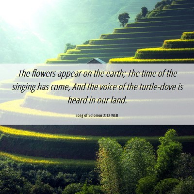 Picture 06 - Song of Solomon 2:12 WEB - The flowers appear on the earth; The time of the - Bible Verse Picture