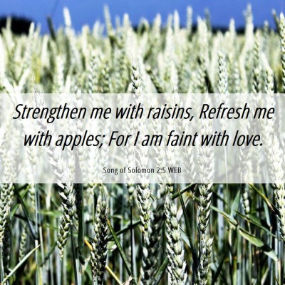Picture 06 - Song of Solomon 2:5 WEB - Strengthen me with raisins, Refresh me with - Bible Verse Picture