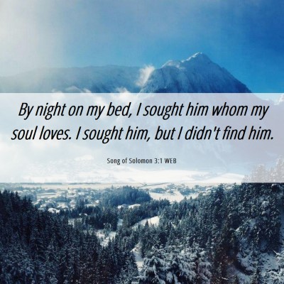 Picture 06 - Song of Solomon 3:1 WEB - By night on my bed, I sought him whom my soul - Bible Verse Picture