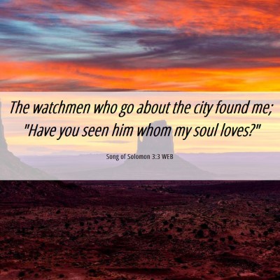Picture 06 - Song of Solomon 3:3 WEB - The watchmen who go about the city found me; - Bible Verse Picture
