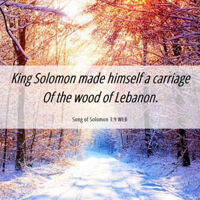 Picture 06 - Song of Solomon 3:9 WEB - King Solomon made himself a carriage Of the wood - Bible Verse Picture