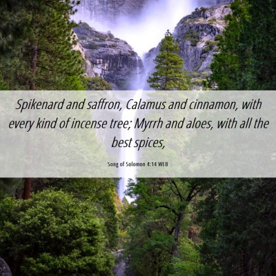 Picture 06 - Song of Solomon 4:14 WEB - Spikenard and saffron, Calamus and cinnamon, with - Bible Verse Picture