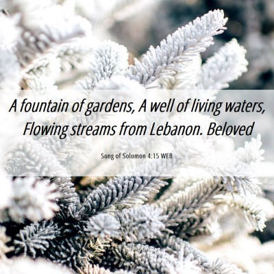 Picture 06 - Song of Solomon 4:15 WEB - A fountain of gardens, A well of living waters, - Bible Verse Picture