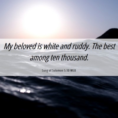 Picture 06 - Song of Solomon 5:10 WEB - My beloved is white and ruddy. The best among ten - Bible Verse Picture