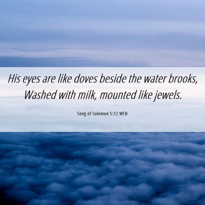 Picture 06 - Song of Solomon 5:12 WEB - His eyes are like doves beside the water brooks, - Bible Verse Picture