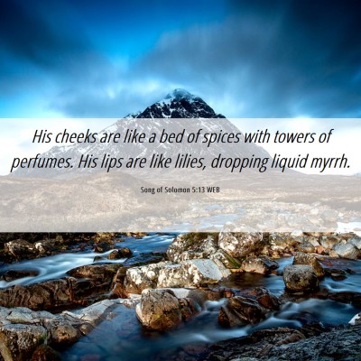 Picture 06 - Song of Solomon 5:13 WEB - His cheeks are like a bed of spices with towers - Bible Verse Picture