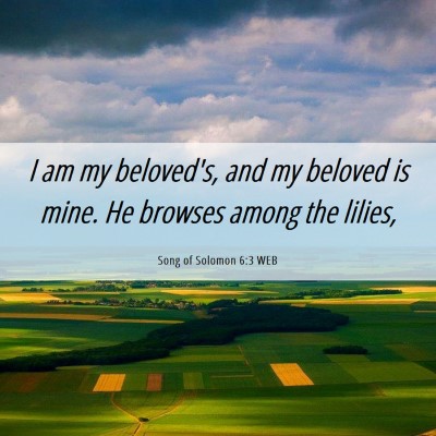 Picture 06 - Song of Solomon 6:3 WEB - I am my beloved's, and my beloved is mine. He - Bible Verse Picture