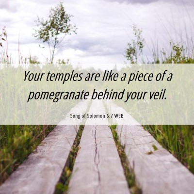 Picture 06 - Song of Solomon 6:7 WEB - Your temples are like a piece of a pomegranate - Bible Verse Picture