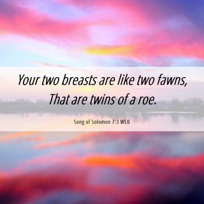 Picture 06 - Song of Solomon 7:3 WEB - Your two breasts are like two fawns, That are - Bible Verse Picture