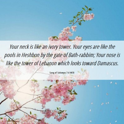 Picture 06 - Song of Solomon 7:4 WEB - Your neck is like an ivory tower. Your eyes are - Bible Verse Picture