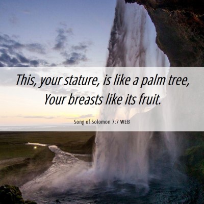 Picture 06 - Song of Solomon 7:7 WEB - This, your stature, is like a palm tree, Your - Bible Verse Picture