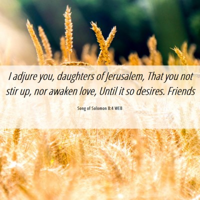 Picture 06 - Song of Solomon 8:4 WEB - I adjure you, daughters of Jerusalem, That you - Bible Verse Picture