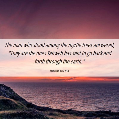 Picture 06 - Zechariah 1:10 WEB - The man who stood among the myrtle trees - Bible Verse Picture