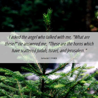 Picture 06 - Zechariah 1:19 WEB - I asked the angel who talked with me, 
