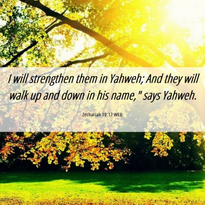 Picture 06 - Zechariah 10:12 WEB - I will strengthen them in Yahweh; And they will - Bible Verse Picture
