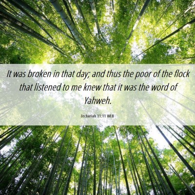 Picture 06 - Zechariah 11:11 WEB - It was broken in that day; and thus the poor of - Bible Verse Picture