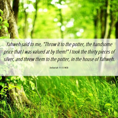 Picture 06 - Zechariah 11:13 WEB - Yahweh said to me, 