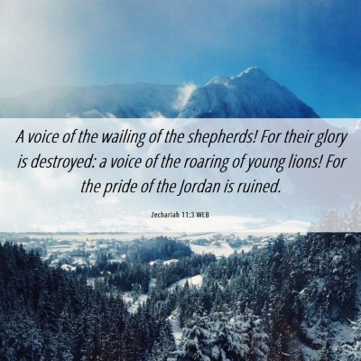 Picture 06 - Zechariah 11:3 WEB - A voice of the wailing of the shepherds! For - Bible Verse Picture