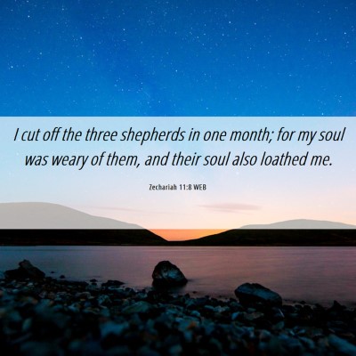 Picture 06 - Zechariah 11:8 WEB - I cut off the three shepherds in one month; for - Bible Verse Picture