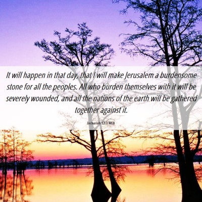 Picture 06 - Zechariah 12:3 WEB - It will happen in that day, that I will make - Bible Verse Picture