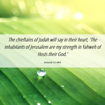 Picture 06 - Zechariah 12:5 WEB - The chieftains of Judah will say in their heart, - Bible Verse Picture