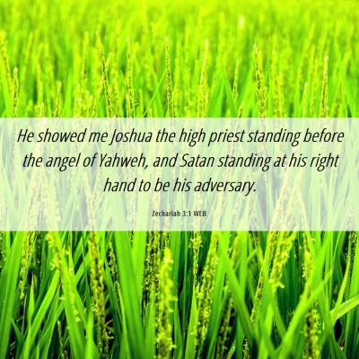 Picture 06 - Zechariah 3:1 WEB - He showed me Joshua the high priest standing - Bible Verse Picture
