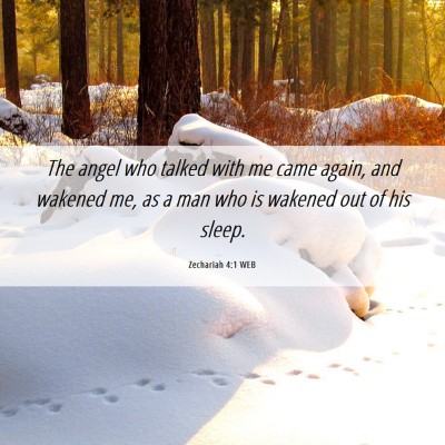Picture 06 - Zechariah 4:1 WEB - The angel who talked with me came again, and - Bible Verse Picture