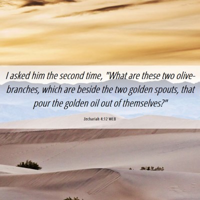 Picture 06 - Zechariah 4:12 WEB - I asked him the second time, 