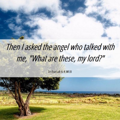 Picture 06 - Zechariah 6:4 WEB - Then I asked the angel who talked with me, 