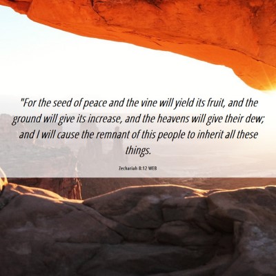 Picture 06 - Zechariah 8:12 WEB - 