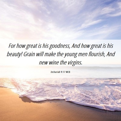 Picture 06 - Zechariah 9:17 WEB - For how great is his goodness, And how great is - Bible Verse Picture